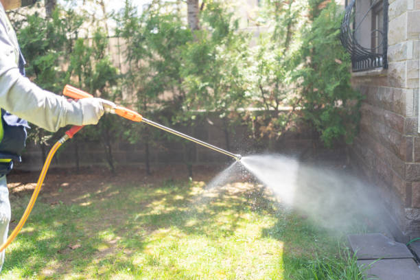 Best Best Pest Control Companies  in Minonk, IL